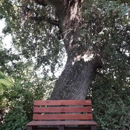 Dom wakacyjny Casa Sotto La Quercia Citta Sant'Angelo