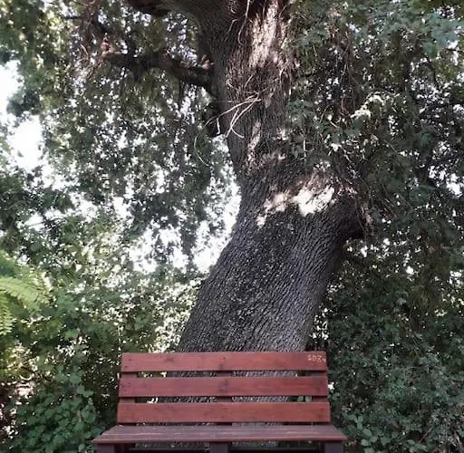 Дом отдыха Casa Sotto La Quercia Читта Сань Анджело